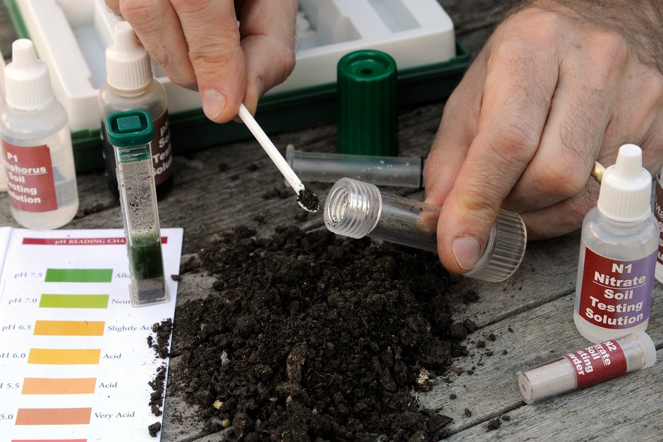 Soil Testing: Laboratory Methods vs. DIY Home-Based Techniques